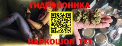 СК Тверь